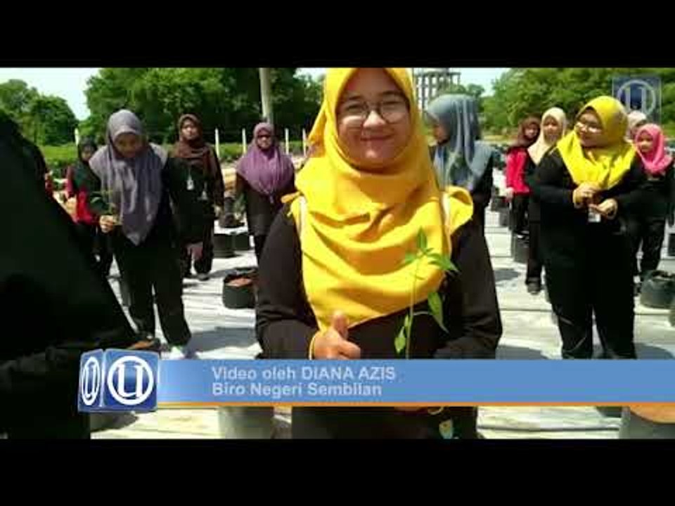 200 pelajar Kolej Uniti usahakan cili fertigasi...