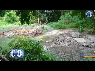 Cebisan tulang dipercayai milik mangsa bunuh ditemui