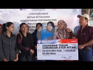 Sawah Sagil berpotensi jadi ikon pelancongan baharu