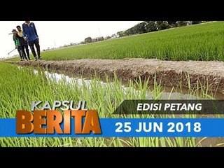 KAPSUL BERITA : Kerajaan cadang kurang subsidi pesawah