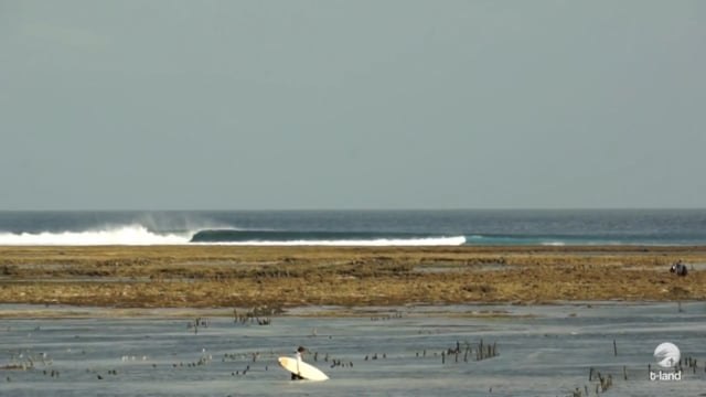 Surfing T-Land Rote Indonesia | Wave of the Day Surf Travel