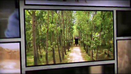 Xuyên Không Kỳ Án - Tập 33 - Phim Trinh Thám Lồng Tiếng Hay