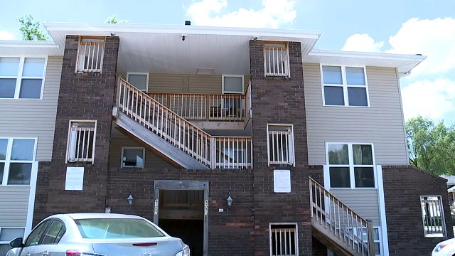 Woman Outraged by Lack of Response After She Spots Bats in Her Apartment