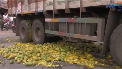 மாங்காய் மீது லாரி ஏற்றி நூதன போராட்டம்- வீடியோ