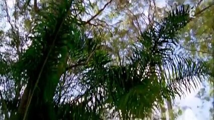 Lightning point S1 E6 Coup de foudre