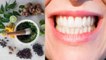 Ayurvedic Herbs for Teeth: इन 3 जड़ी-बूटियों से कभी खराब नहीं होंगे आपके दांत | Boldsky