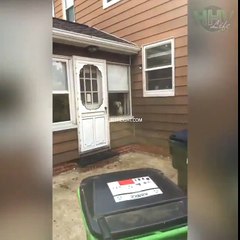 Nobody Can Rob This House