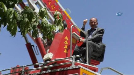 Çatıda mahsur kalan serçe kurtarıldı