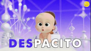 Boss Baby Despacito