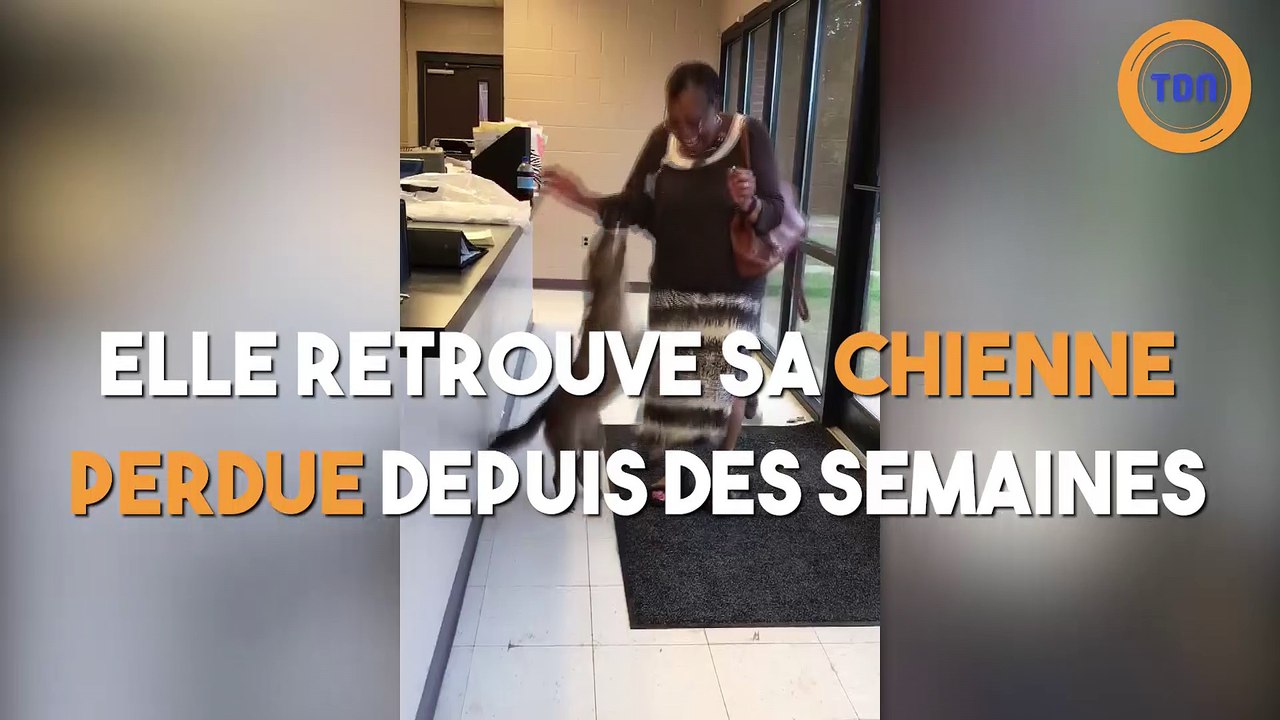 Elle retrouve son chien perdu depuis des semaines