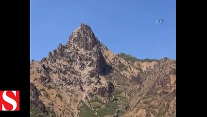 Kobraların sesini duyan teröristler böyle yalvardı