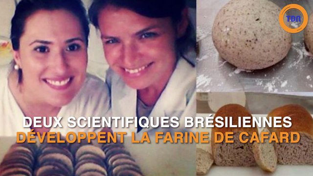 Riche en protéines : la farine de cafards !