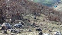 Yurt Genelinde Terör Örgütü PKK'ya  Büyük Darbe Vuruldu