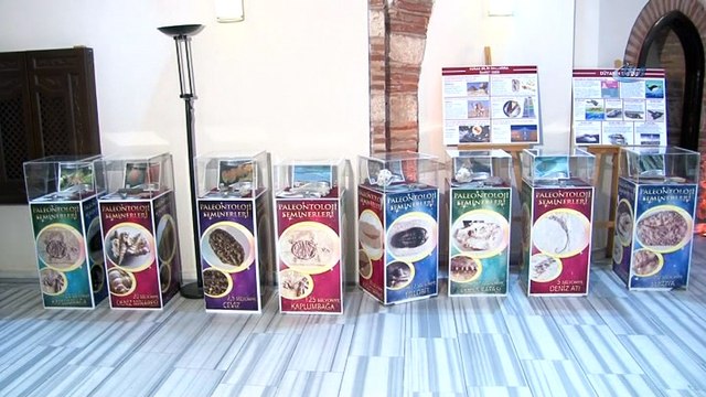 Bu sergide milyonlarca yıl önce yok olmuş canlıları görmek mümkün