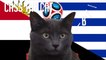 Egypt vs Uruguay | Group A | 2018 FIFA World Cup Cass the Cat Prediction