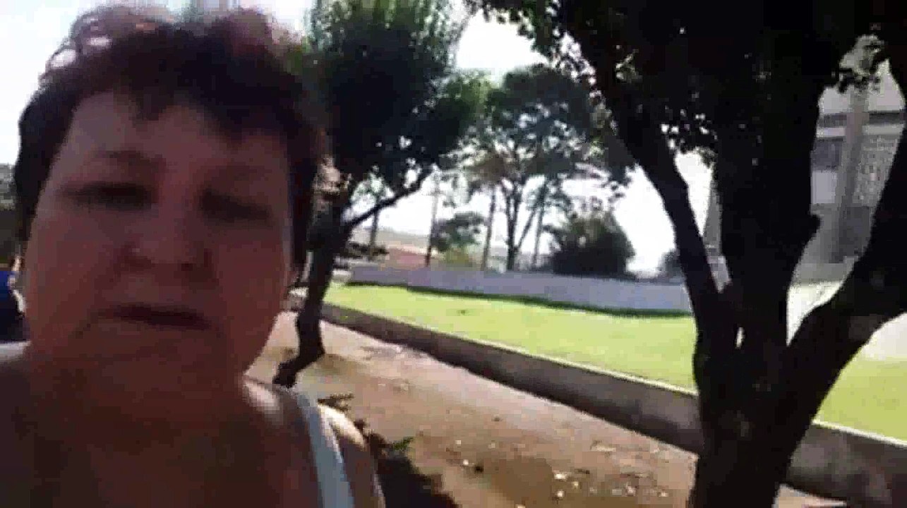 O Brasil que eu quero - Pra Cair de Rir