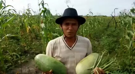 Vídeo Engraçado - O Brasil Que Eu Quero