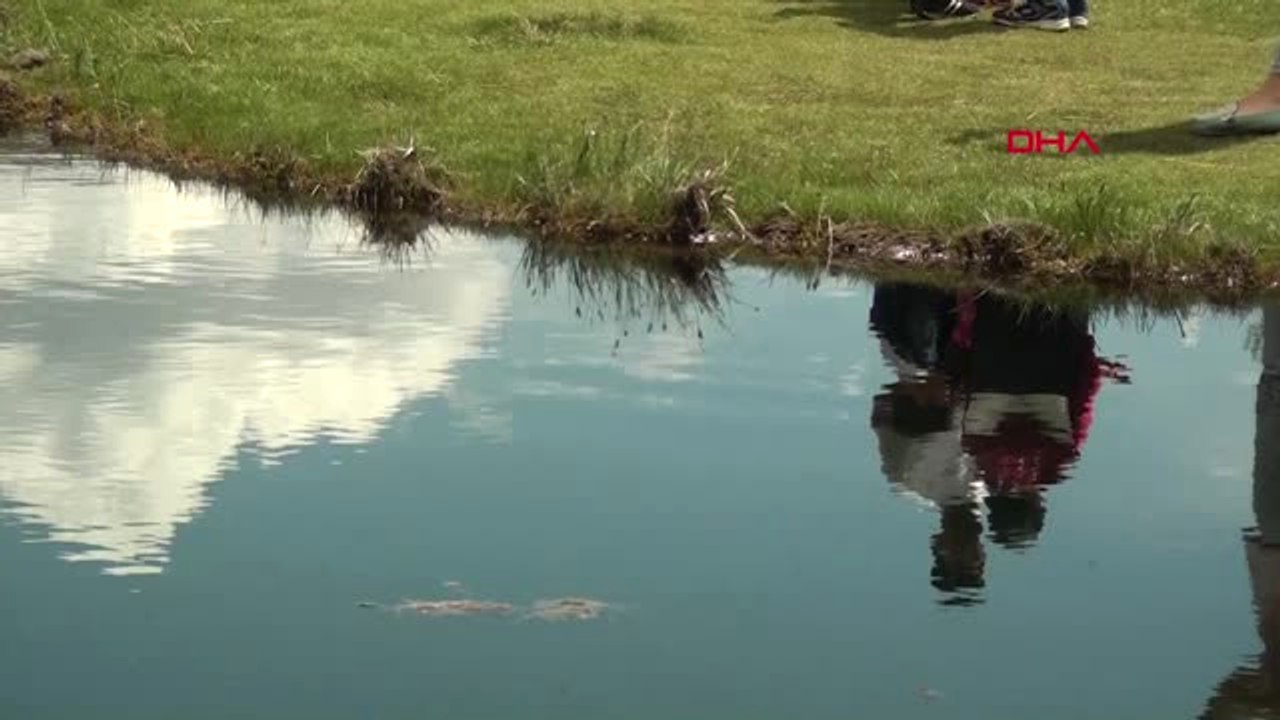 Bingöl Tabiat Varlığı Yüzen Adalar'ın Çehresi Değişiyor