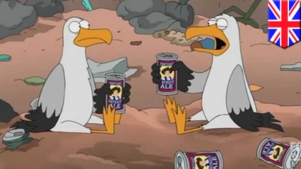 UK animal charity rescues dozens drunk seagulls