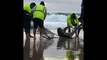 A group of fishermen rescued a shark that got tangled in a fishing net off the Sunshine Coast in Queensland, Australia, on July 4.