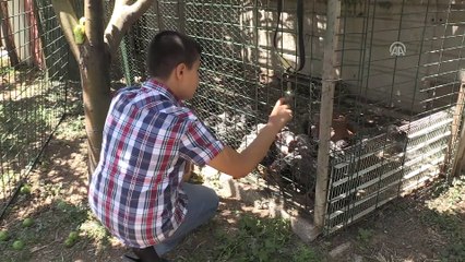 Oğullarının sağlığı için '3 tüp kan' bekliyorlar - KIRŞEHİR