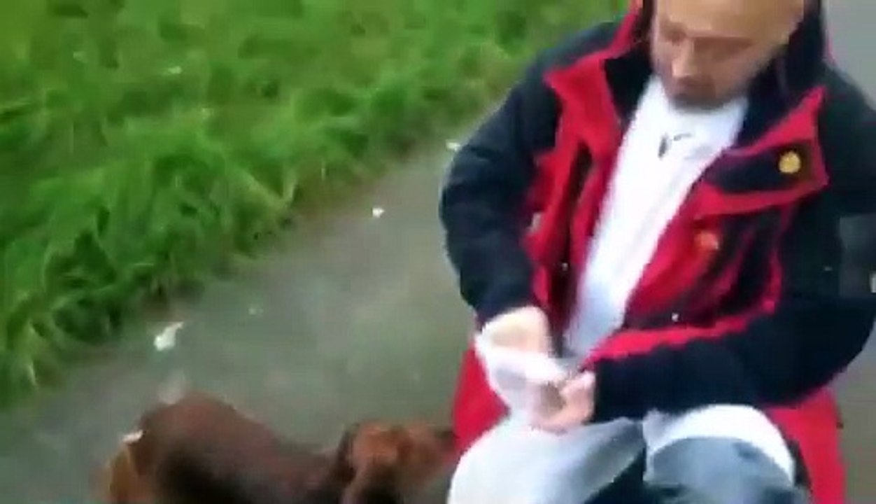 Mein Hund frisst keine türkische Wurst