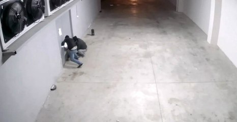 Maskeli Beşler" Önce Kameraya, Sonra Polise Yakalandı