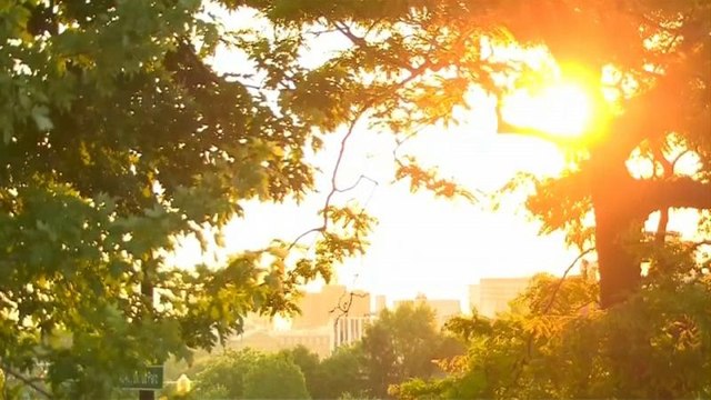 Québec ächzt unter Hitzewelle