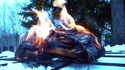 Die Verbrennung von verfassungsfeindlichen Bücher . . .