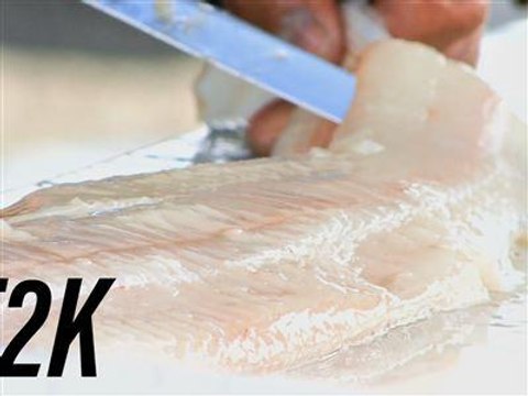 En 2048, il n'y aura plus de poissons dans les océans