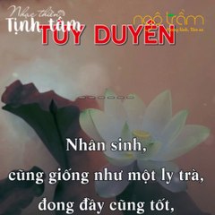 TÙY DUYÊN - TRẦM HƯƠNG NGỘ TRẦM