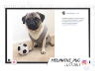 Socialeyesed - Waistcoat Wednesday