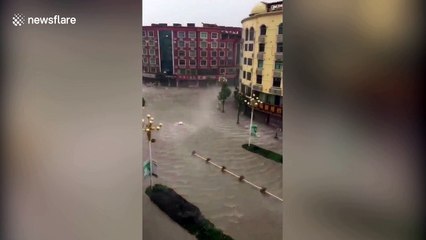 Trees bend in Typhoon Maria winds in southeastern China's Fujian