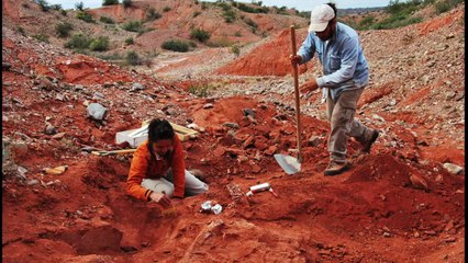 Dinossauro gigante na Argentina