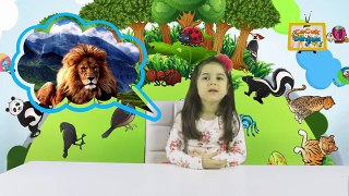 Çocuklar için İngilizce - Hayvanlar