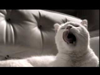 Rowenta Silence Force