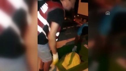 Muğla'da ölü ve yaralı deniz kaplumbağaları bulundu