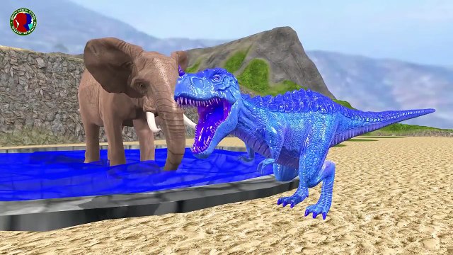 Learn Colors With Wild Animals Names And Sounds for kids Preschool rhymes for toddlers