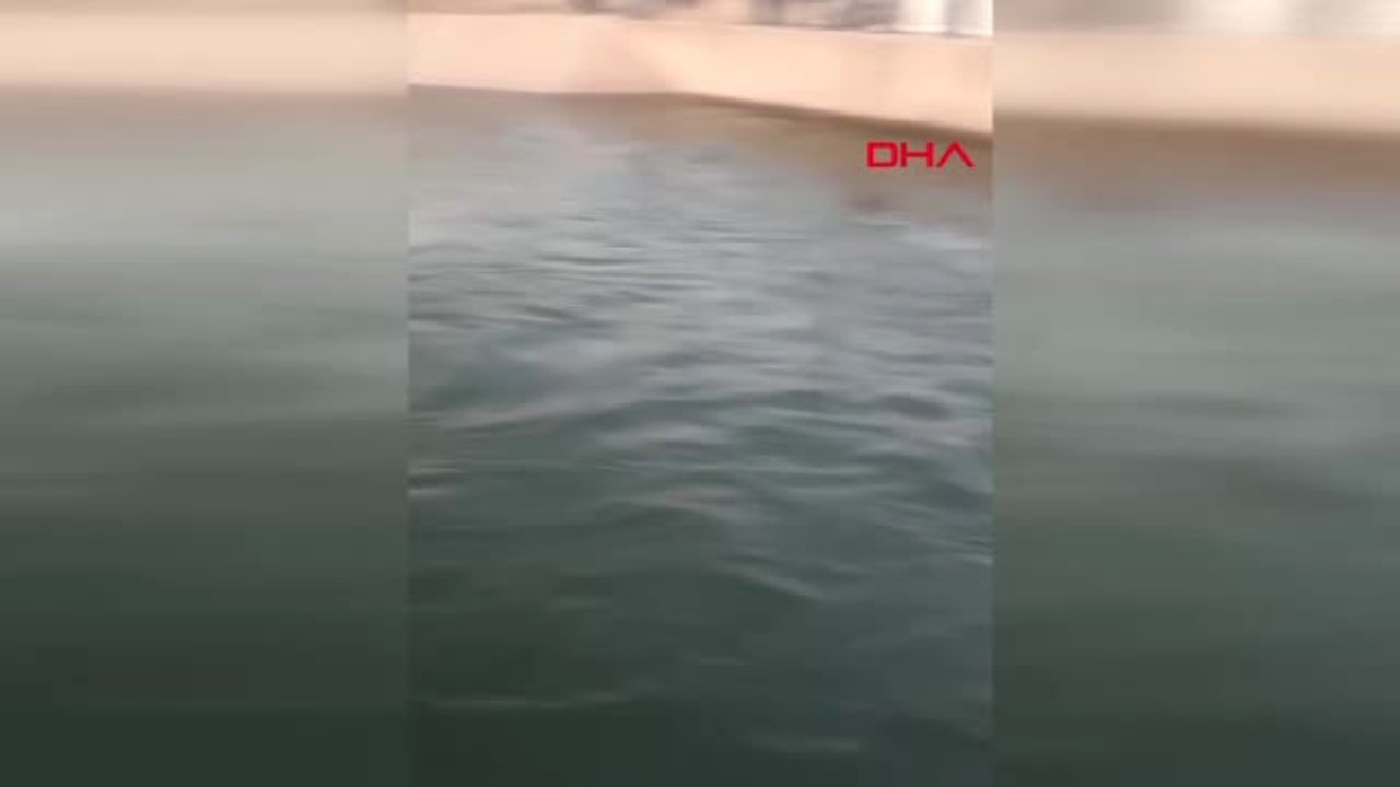 Diyarbakır Silvan'a Bağlı Yeşerdi Köyü'nde Sulama Kanalına Düşen 2 Kardeş Aranıyor