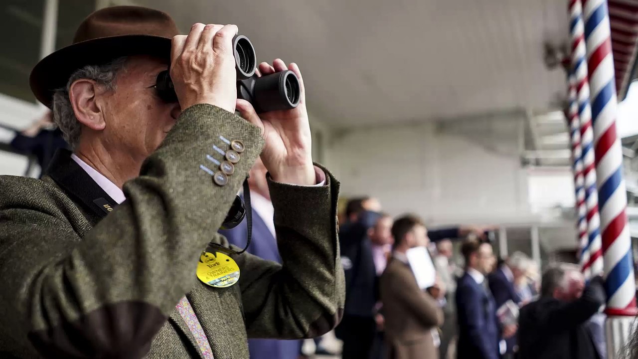 L'observation avant une course hippique