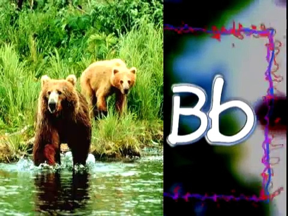 ABC SONG for Children | Animal Alphabet