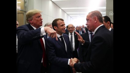 NATO Zirvesi - Liderlerin buluşması - BRÜKSEL