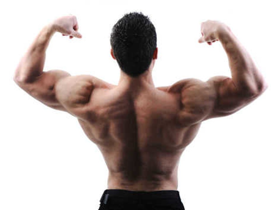 Les exercices pour muscler ses épaules