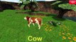 Learn Farm Animals Names & Sounds - Toddler Kids Puzzle by Abuzz Educational For Children