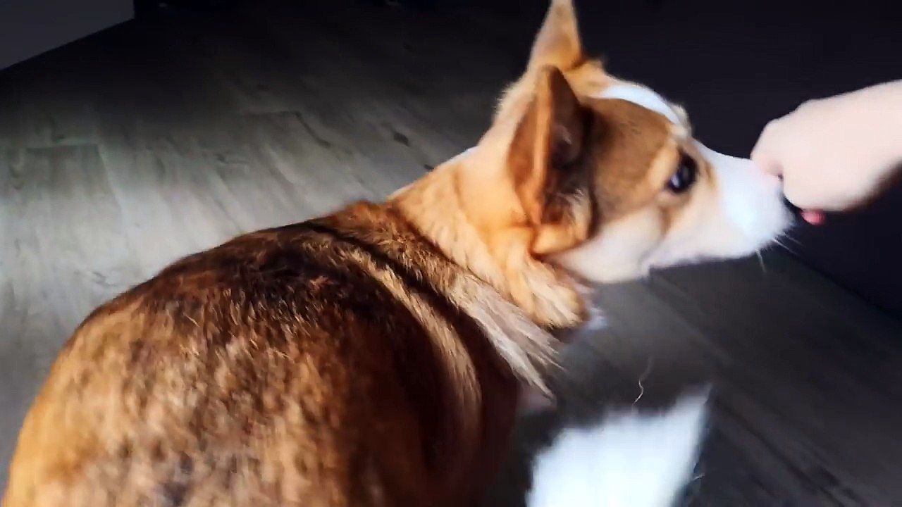 PC funktioniert nicht.