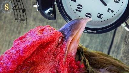 11 UNEXPECTED Things That HAPPEN While You SLEEP