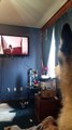 Husky barks at husky compilation video on TV