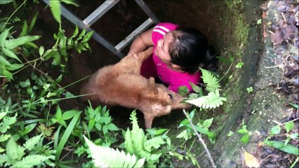 Dog Rescued from Hole