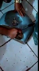 Coincé dans un lavabo ce chaton est sauvé ! Cette petite tête...