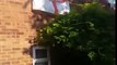 Ce fan Anglais a couvert sa maison de drapeaux de l'Angleterre !